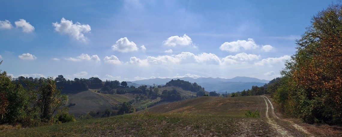 CA SOAVE-MSP_Foto
