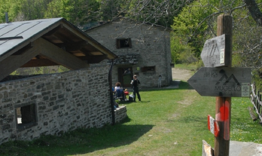 Cammino_delle_Pievi