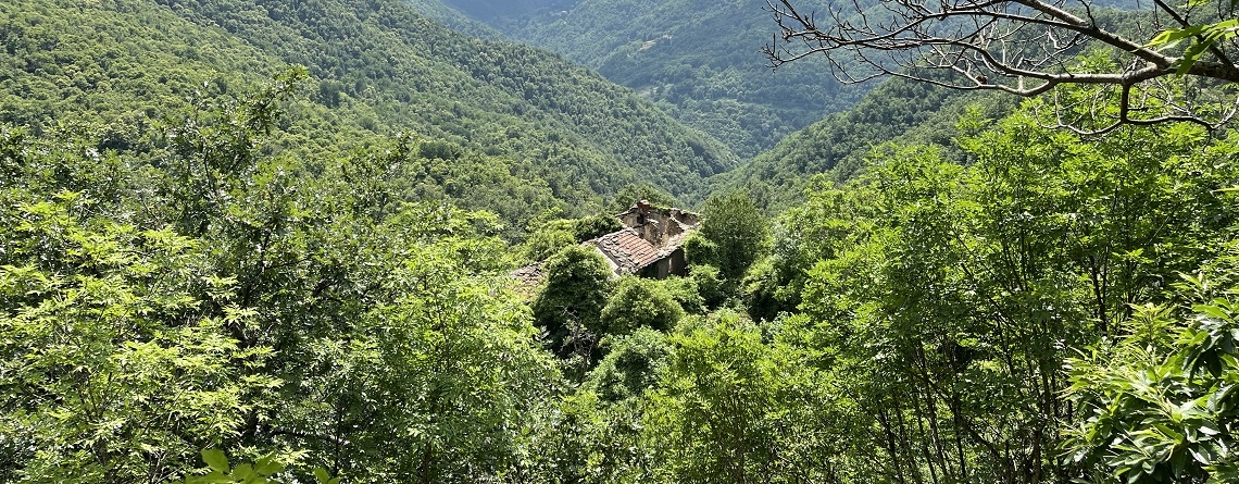 chiapporato