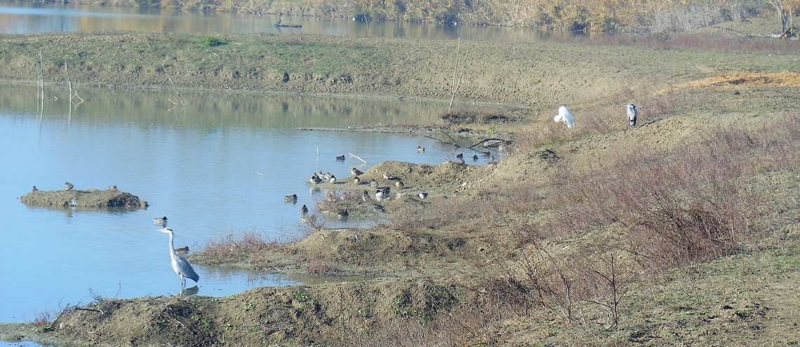 DSCN2293_2