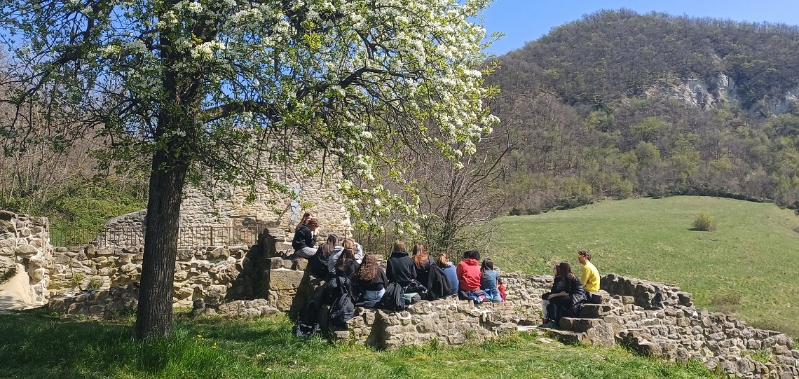 Il_Cammino_della_Libert_-_20425