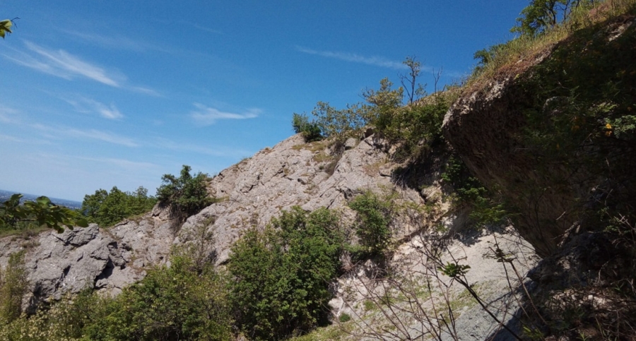 WhatsApp_Image_2021-05-15_at_15.24.13_-_Copia