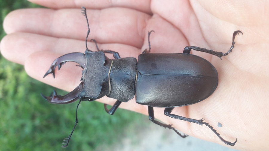 La_Morte_la_Vita_-_231125_1