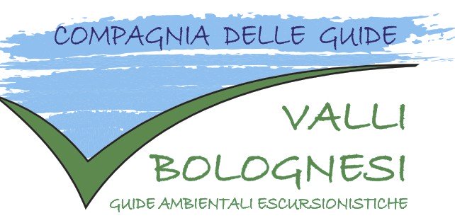 guidevallibolognesi.it